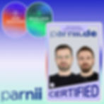 parnii.de Certified Wix Studio Designes and Developers