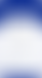 Accessibility Widget screen from AccessiBe