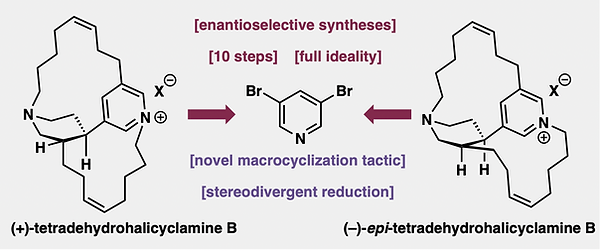 Screen Shot 2025-12-18 at 2.14.57 PM.png