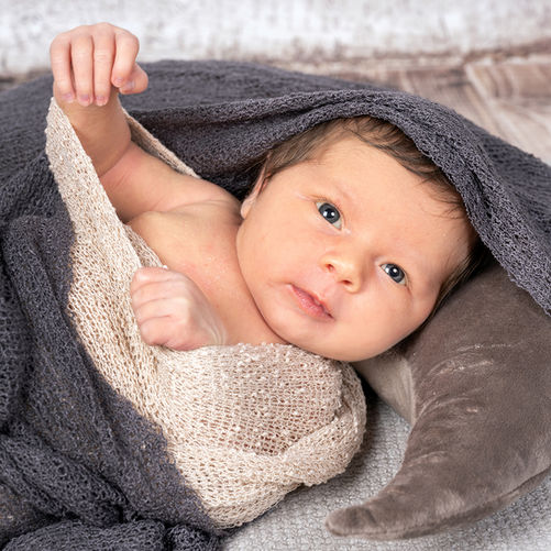 Baby in farbiger Studioaufnahme, sanft in Decken drapiert – FineArt Newborn-Fotografie, hochwertig und zeitlos.