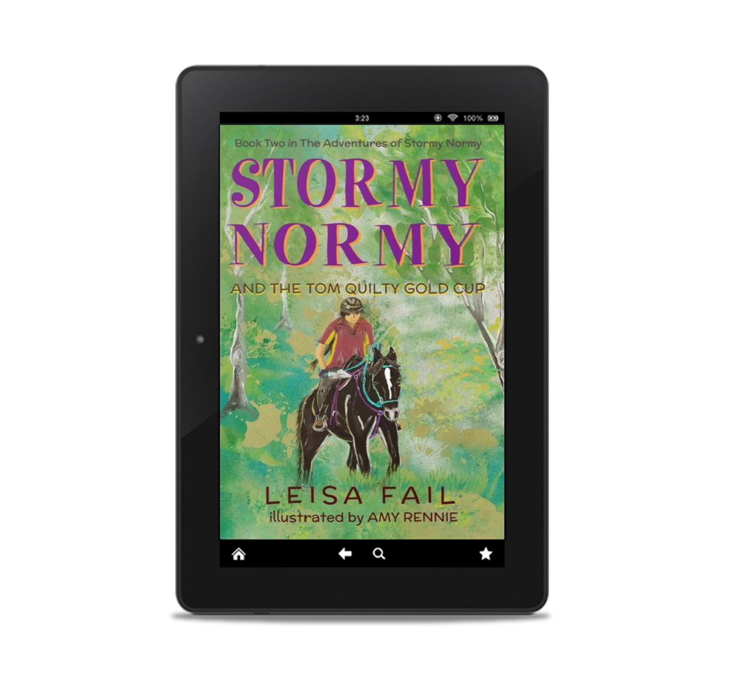 Book 2 Stormy Normy and the Tom Quilty Gold Cup eBook