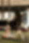 shoreelitept-61.jpg