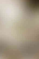 Giving The Edge Foundation 2025 Elegance with an Edge Gala & Awards