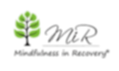MIR Registered transparent.png