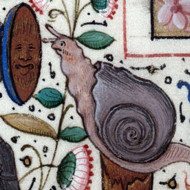 Sleep now, Dear Snail