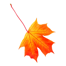 Icon blatt.png
