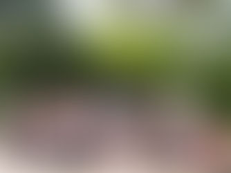 2020年2月春合宿を行いました