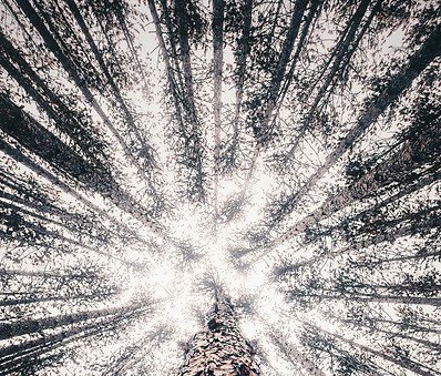 bryan-minear-561781-unsplash.jpg