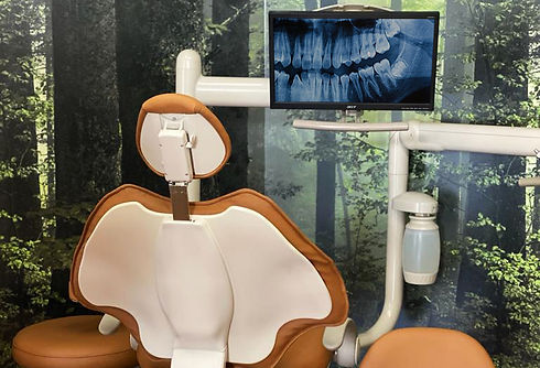 xraydocchair1.jpg