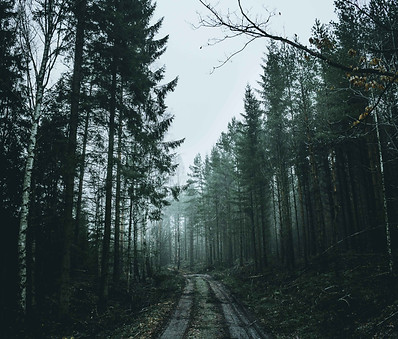 ca-ku-441809-unsplash.jpg