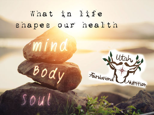 What in life creates our health/disease? Or is it all up to genetics?