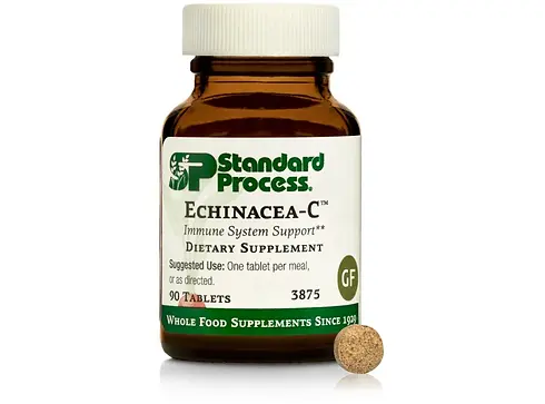 echineca C.webp