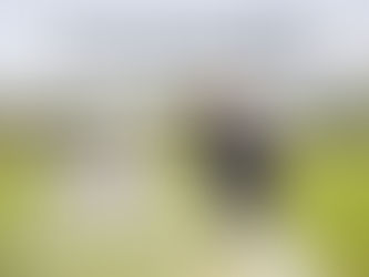 How to be healthy in a toxic world