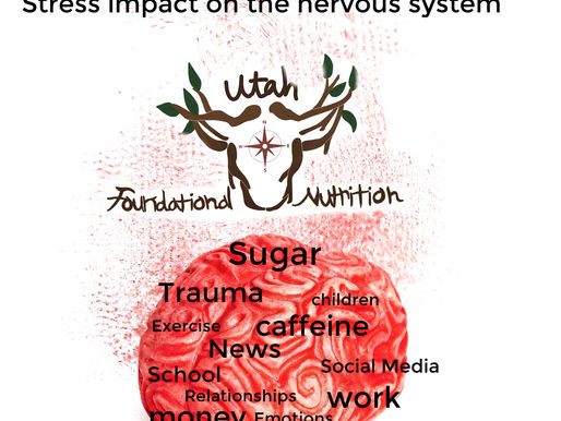 Stress impact on the nervous system