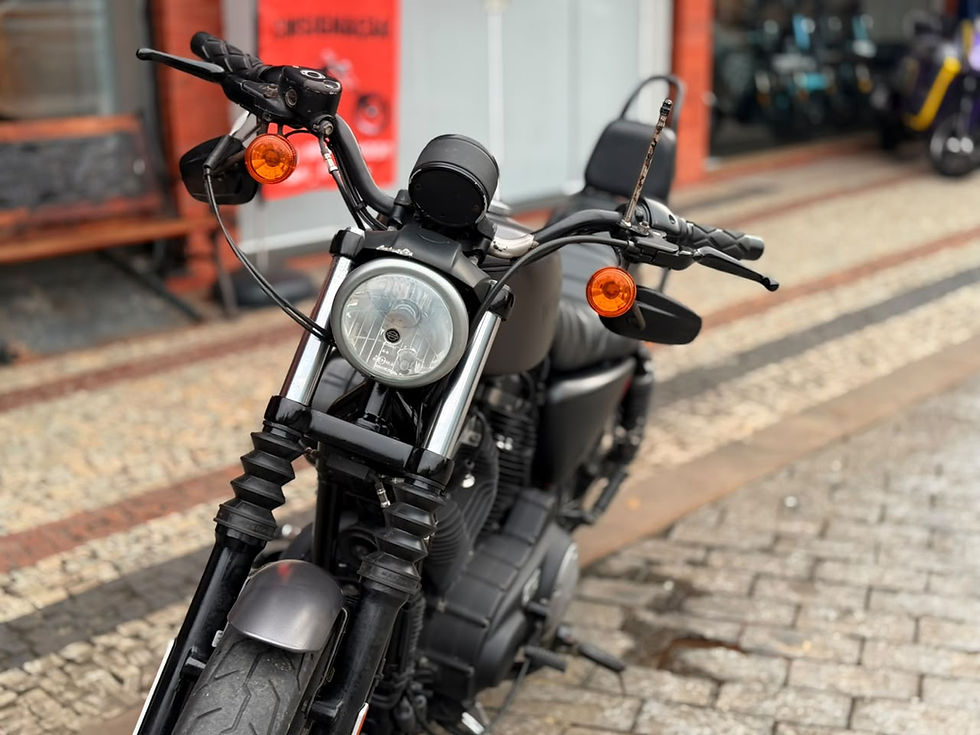 Miniatura: HARLEY-DAVIDSON XL 883 IRON 2017