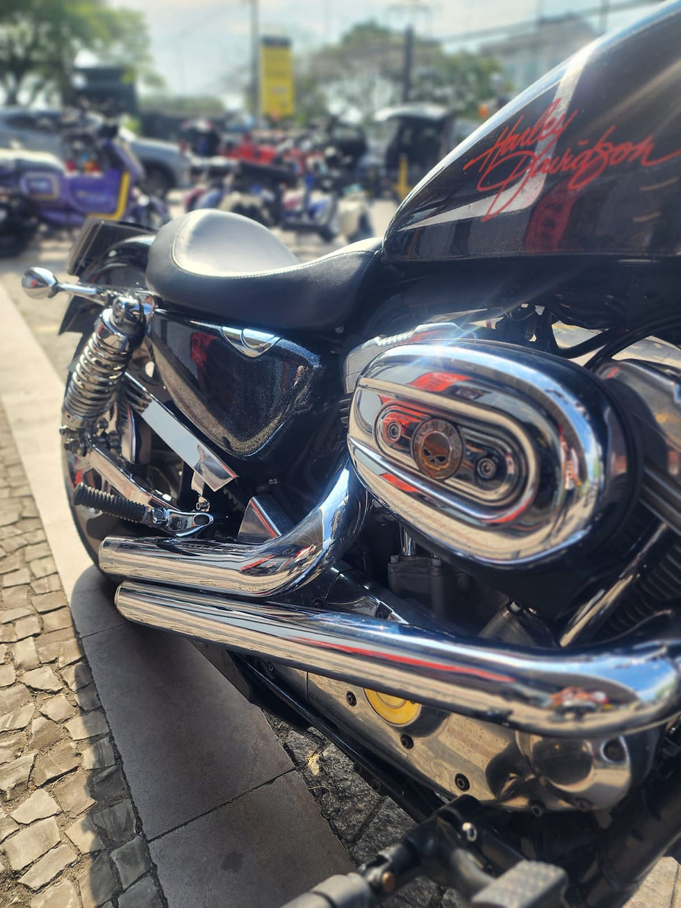 Miniatura: HARLEY-DAVIDSON XL 883L 2007