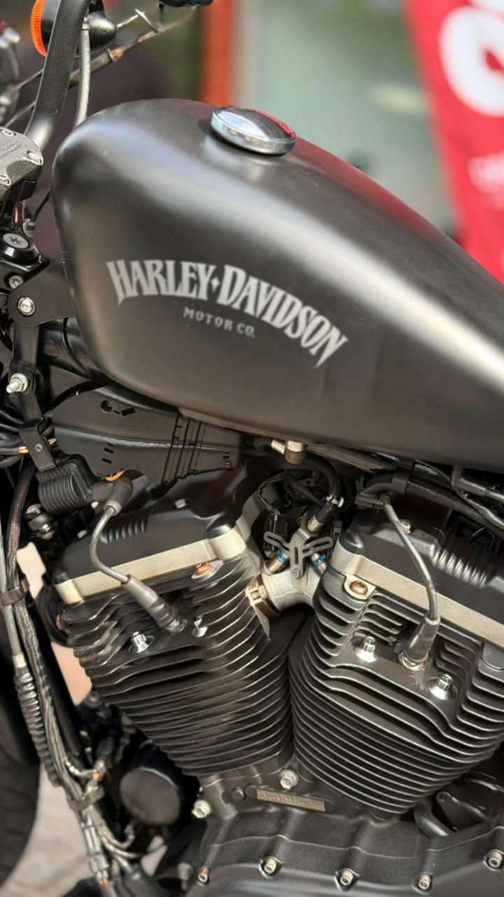 Miniatura: HARLEY DAVIDSON 883N 2011