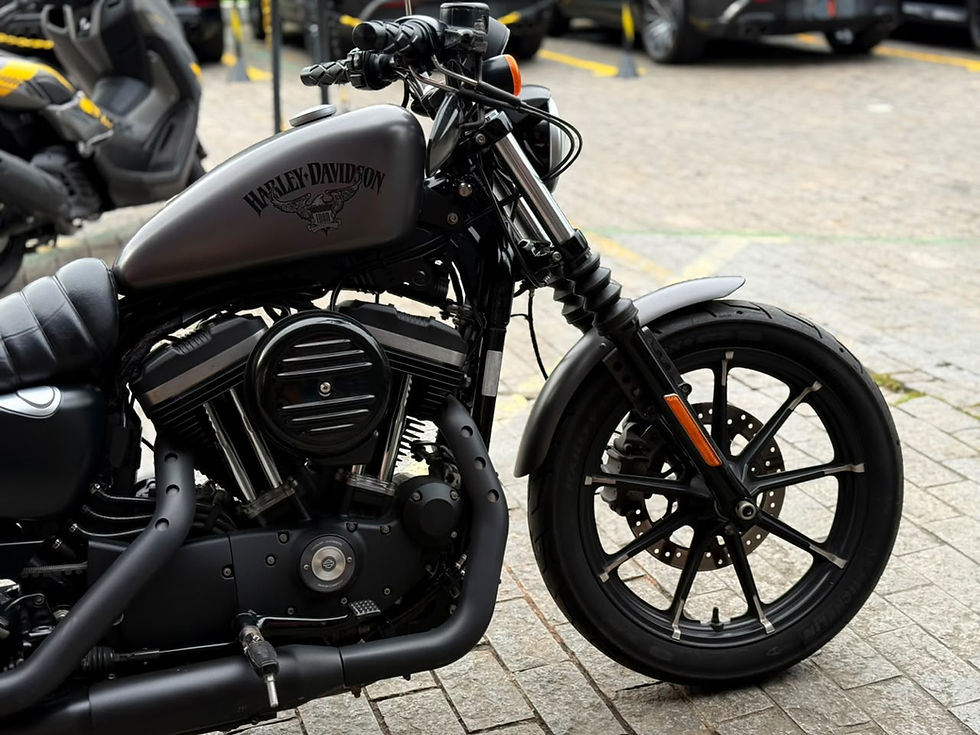 Miniatura: HARLEY-DAVIDSON XL 883 IRON 2017