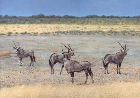 Oil Painting of wildlife art - Oryxes in the Kalahari, Namibia by realist artist Charles Foley Art