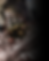 Untitled design (1).png