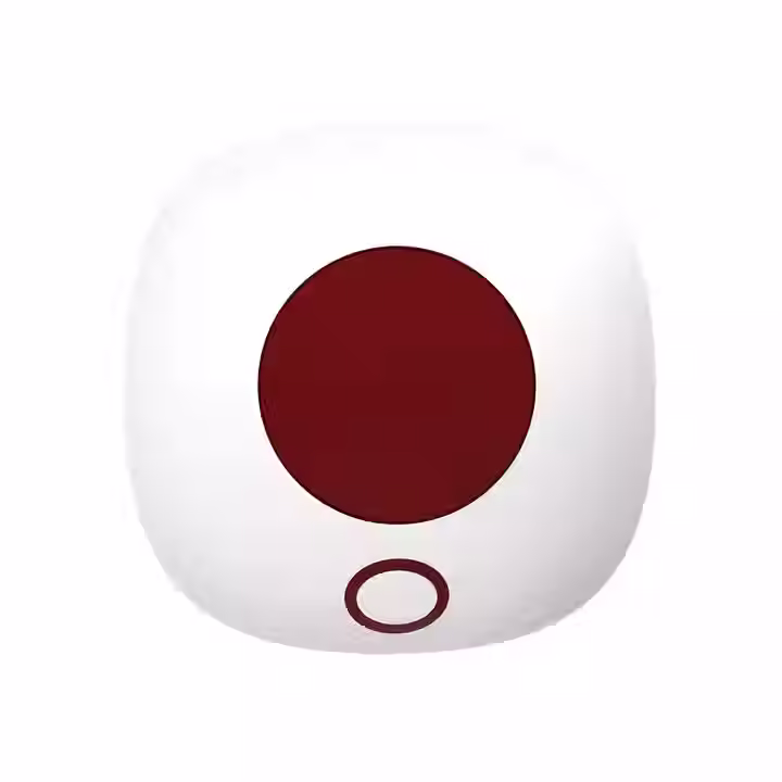 H5 Indoor Siren