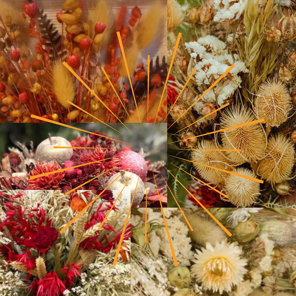 Fleurs séchées