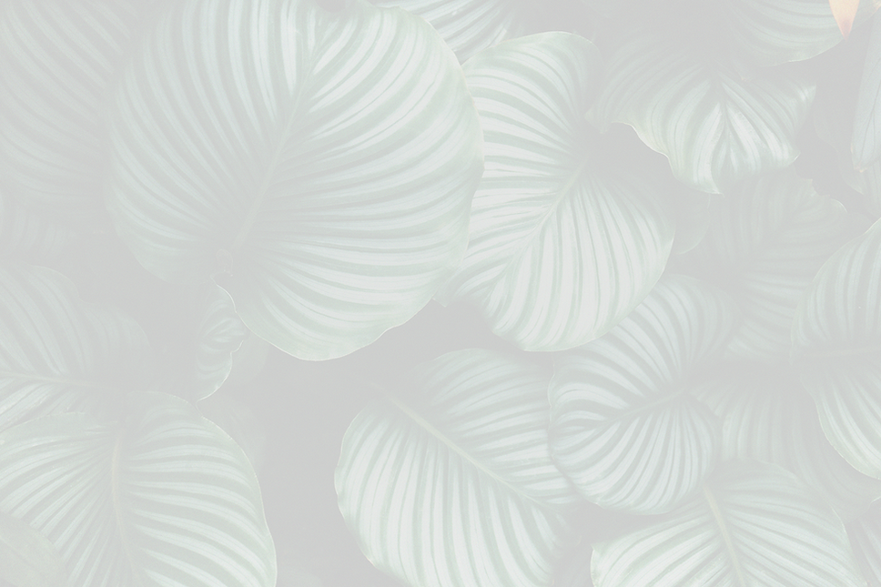 EXELL (Website Background) LIGHTNESS.png