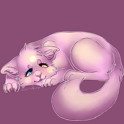 pinkcat.png