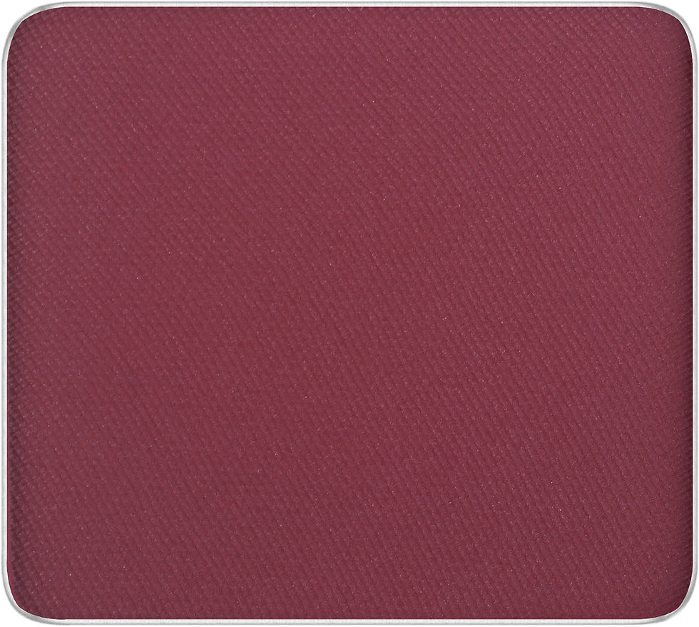 301 FREEDOM SYSTEM EYE SHADOW MATTE