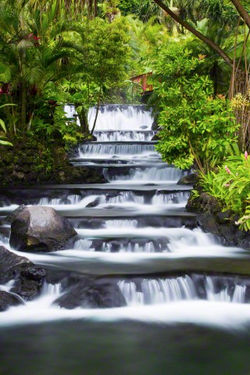 Tabacon Costa Rica
