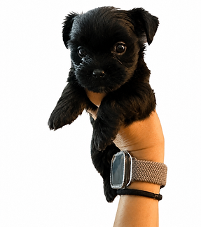 Vader 6 weeks.PNG