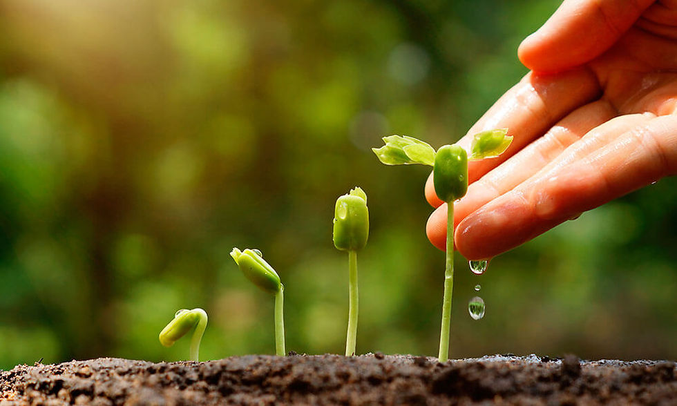 The Future of Marketing is about Scaling Intimacy