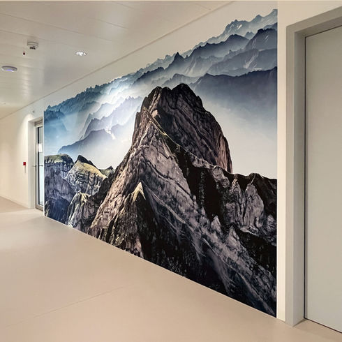 Wandbild, Wonderwall, Wandverkleidung, Panorama, Digitaldruck, WallGrafX