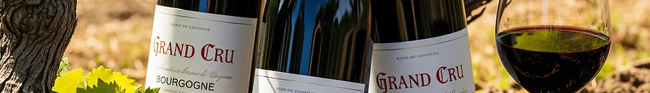 Les Grands Crus de Bourgogne