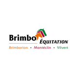 BRIMBORION