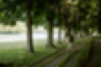Versailles-samedi-33.jpg