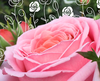 MASQUES FRIENDS&FAMILY.png