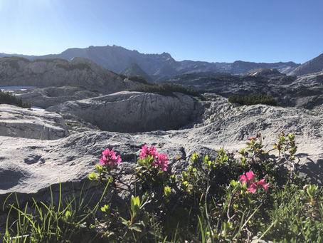 Tag 7 Salzburg – Triest: Heiß und steil nach Maria Alm