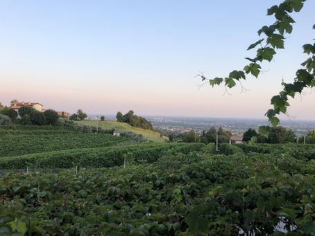 Traumpfad München - Venedig Tag 34. Die erste heiße Asphalt-Etappe