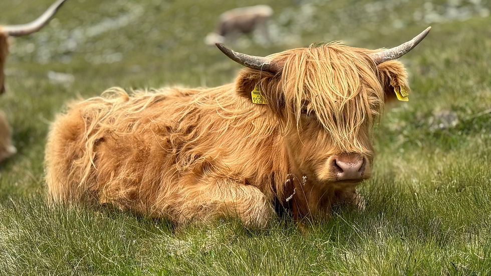 Darf man die mitnehmen??? 😍😍