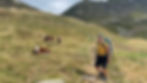 GTA Grande Traversata delle Alpi Rifugio Coda Trovinasse Kühe