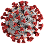 SARS-CoV-2_without_background.png.webp