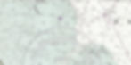 compass rose_edited.jpg