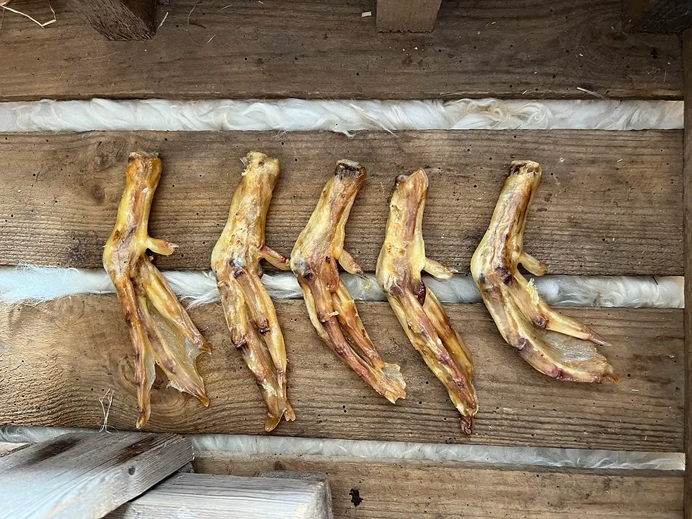 Duck Feet