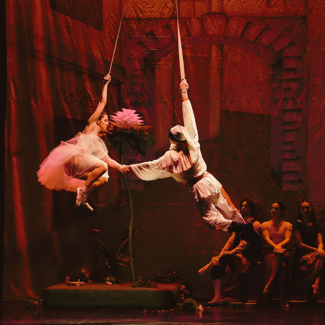 compagnia claudioepaololadisa, Claudio e Paolo Ladisa, circus entertainment, dancecircus
