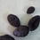 Thumbnail: Types of SEA CUCUMBER (Teripang)