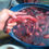 Thumbnail: Types of SEA CUCUMBER (Teripang)