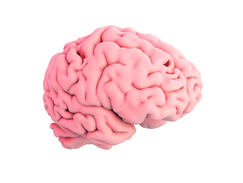 Efeitos da terapia antiplaquetária após acidente vascular cerebral devido a hemorragia intracerebral