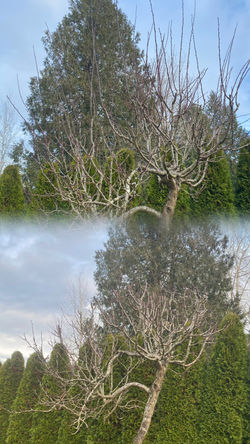 photo-output