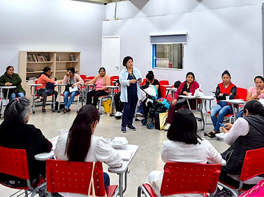 1 CEMIR PROJETO ONU MULHERES_edited.png